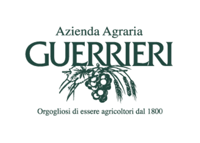 Guerrieri uit de Marken - Italië (logo)